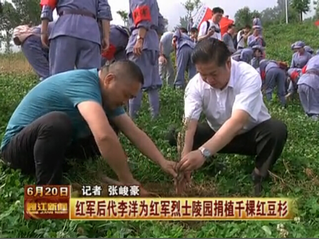 李洋同志率成都红后和艺术团部分同志到川陕革命根据地红军烈士陵园捐赠国宝树种红豆杉